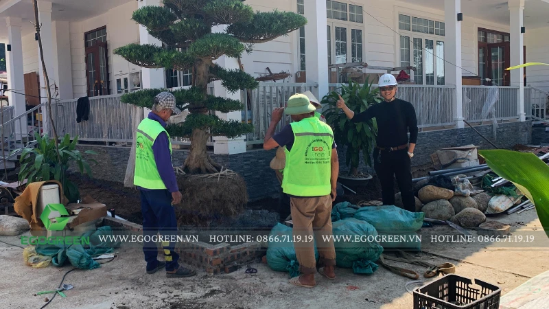 Công ty thiết kế sân vườn nghỉ dưỡng uy tín nhất Hà Nội - EGOGREEN